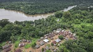 The Tommy Garnett and Sierra Leone's green legacy