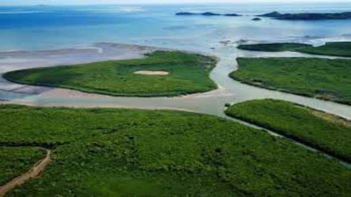 Worldwide Wetland Perspective for 2025 