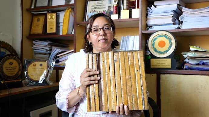 From forest to factory: IIT Guwahati crafts bamboo into the future of auto parts
