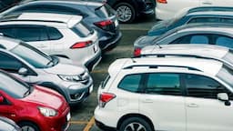 SUV Cars