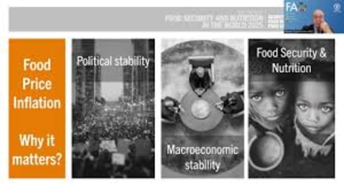 Food Security and Nutrition Status Worldwide (SOFI 2025) Report