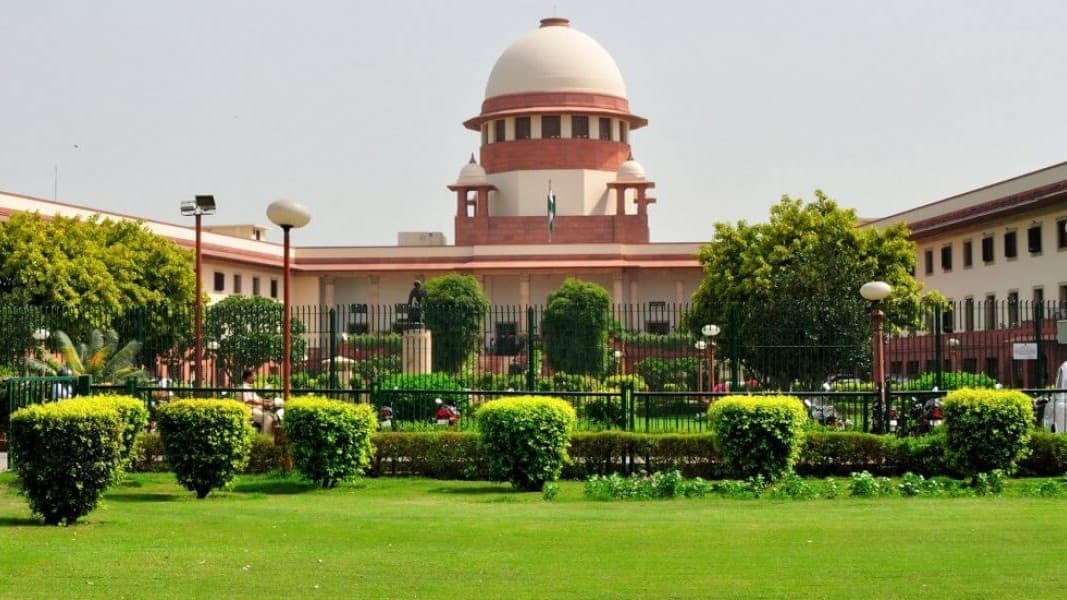 Law graduates must practice 3 years before judicial exams: SC