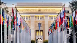 united nations