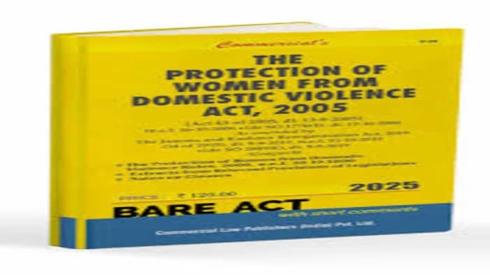 Domestic Violence Law: Two Decades of Strength and Safety