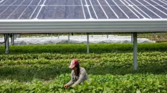 Clean Agriculture Initiative