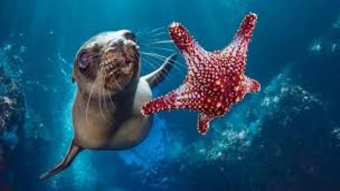 UN High Seas Treaty Achieves Required Entry into Force Milestone
