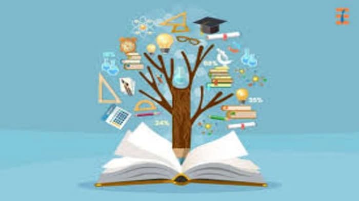 Balancing student welfare and educational enterprise