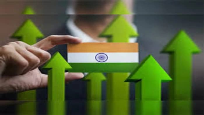 Can Indian industry absorb shocks from liberalization?