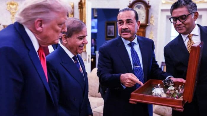 Pakistan dispatches first rare earth minerals consignment to US under new deal: Report