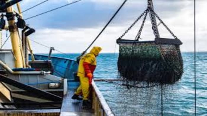 Promoting Fisheries Sustainability amid US Trade Pressures