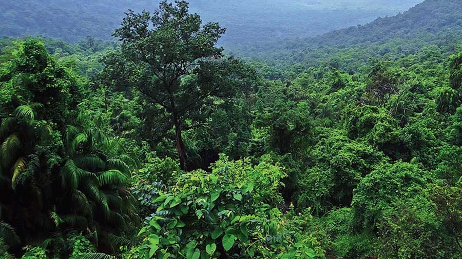 Maharashtra school students flee to forest after alleged beating over water task