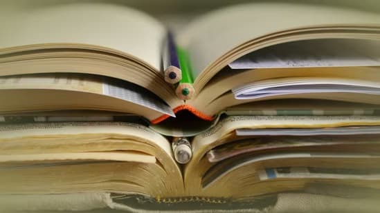 Single higher education regulator planned under new HECI Bill