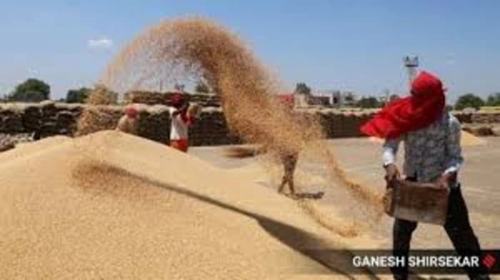 India’s Foodgrain Production Hits Record High in 2025 — Agriculture & Food Security Milestone