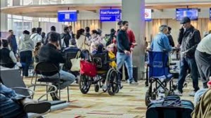 Passengers Express Outrage Over IndiGo Baggage Loss and Mishandling