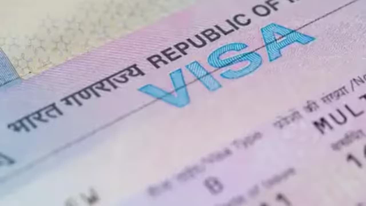 Govt streamlines visas for foreign engineers working with Indian firms