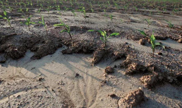 Study Reveals Alarming State of Soil Erosion in India: Implications for Agriculture and Environment