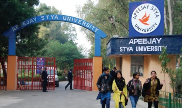 Apeejay Stya University