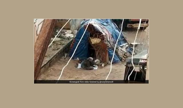 COVID-19 Study Group