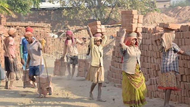 Over 240 bonded labourers rescued in 2024-25; Parliamentary panel calls ...
