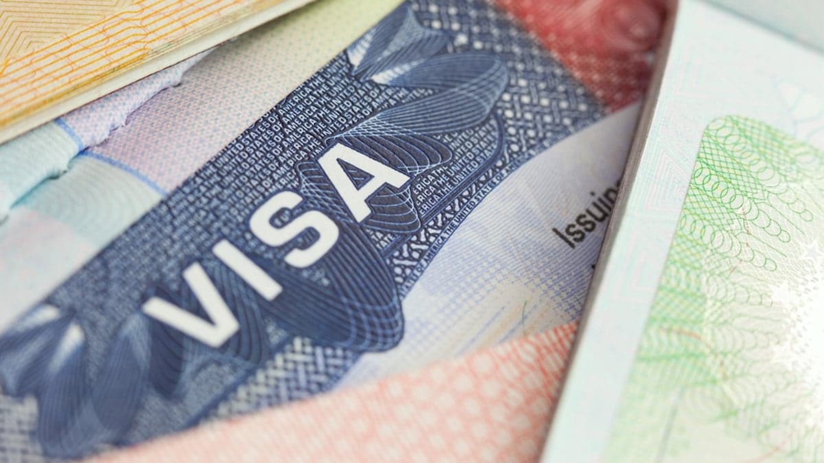 US visa revocations hit Indian students hard, around 50% affected: Report