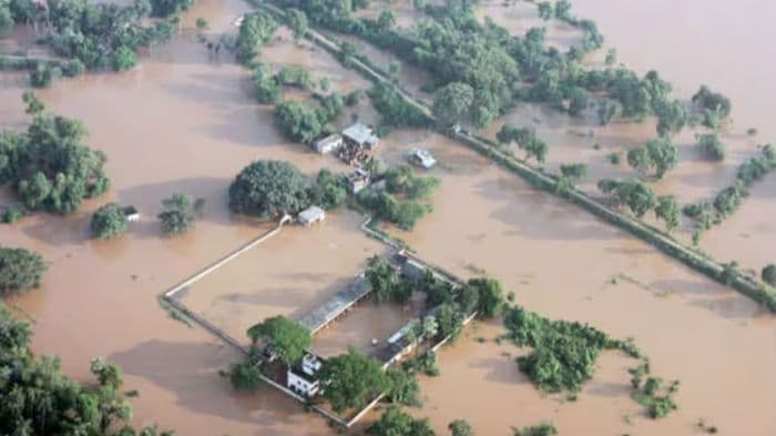 Flash flood in Balasore inundates 61 villages, leaving over 50,000 affected