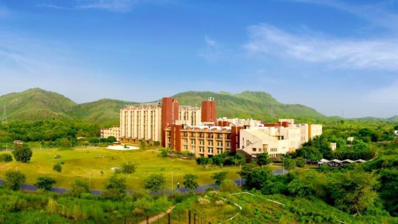 NIIT University Leads Green Renaissance in Aravallis During Van Mahotsav 2025