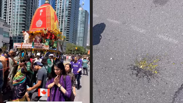  eggs hurled at devotees