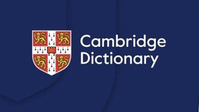 Cambridge Dictionary adds Gen Z slang like "skibidi", "delulu", and "tradwife" among 6000 plus new entries