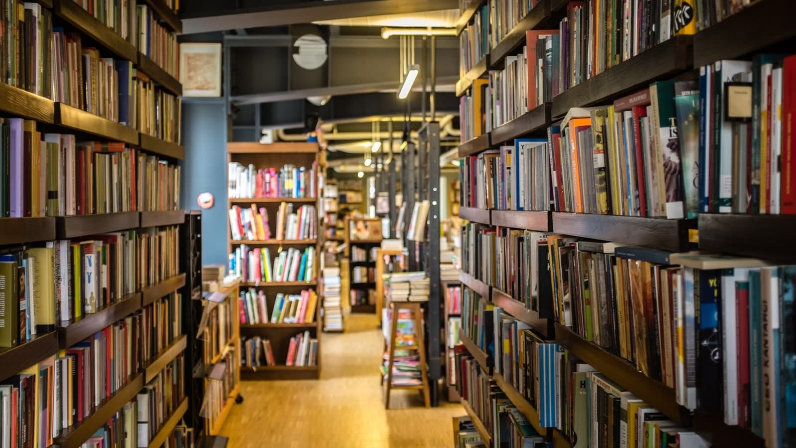 Turning pages, changing lives: Tribal villages in Nashik embrace community libraries