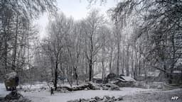 Gulmarg and Srinagar