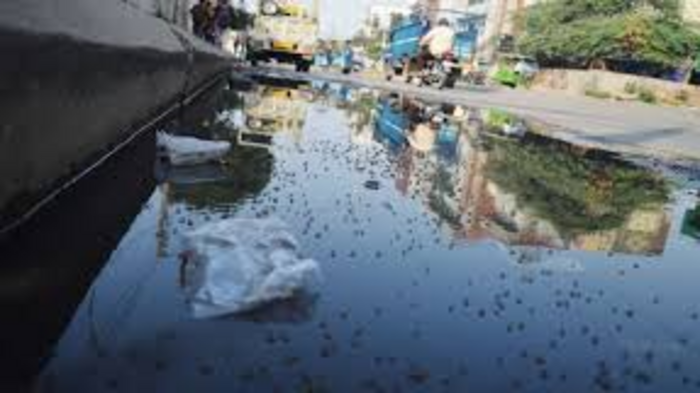 Public Health Dept Flags Rise in Dengue Cases Ahead of Summer