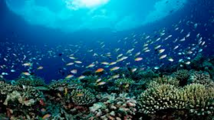 Centre Launches National Coastal Resilience Programme