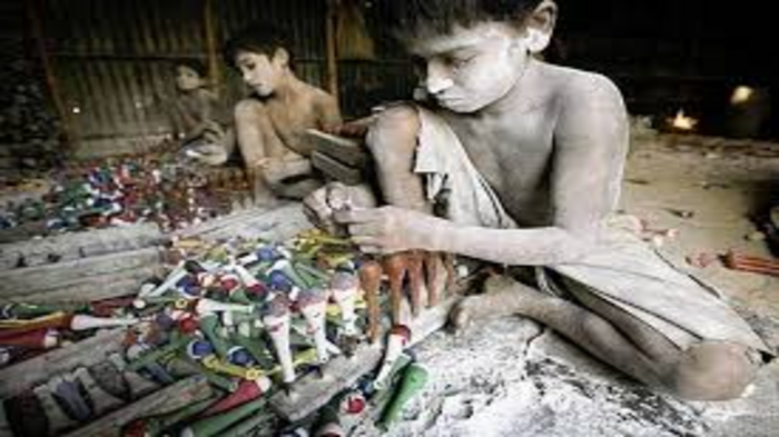 Parliamentary Panel Reviews Child Labour Eradication Measures