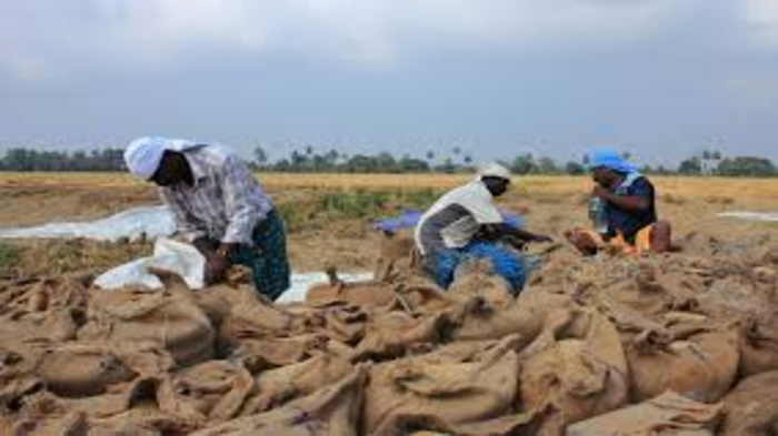 India Enhances Food Security Measures