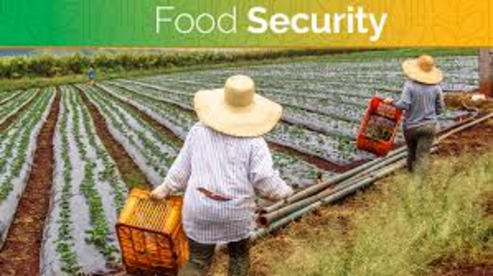 Global Food Security Concerns Rise