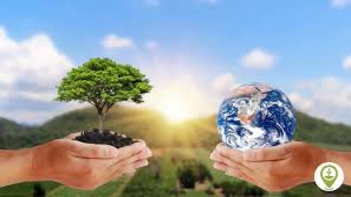 Global Efforts Intensify for Biodiversity Conservation