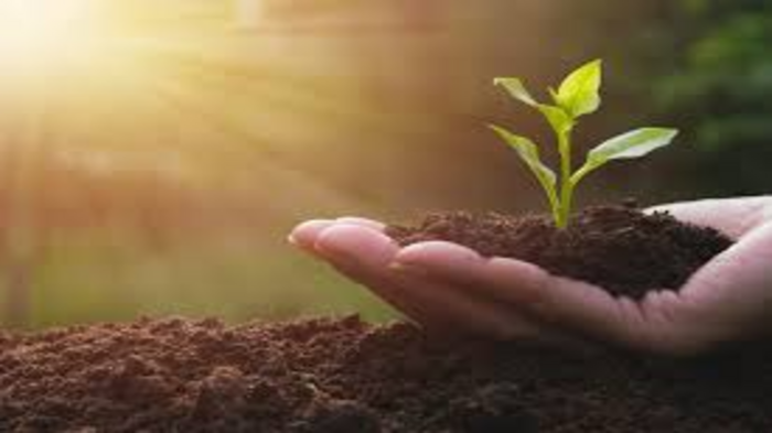 Global Biodiversity Conservation Gains Priority