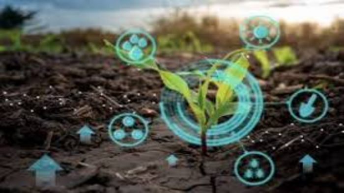 Agriculture Sector Promotes Climate Resistant Farming