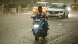 The India Meteorological Department (IMD) 
