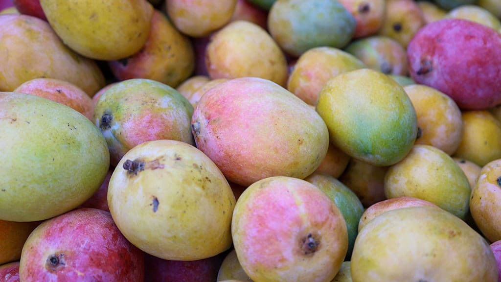 India denies reports of Nepal ban on mango imports