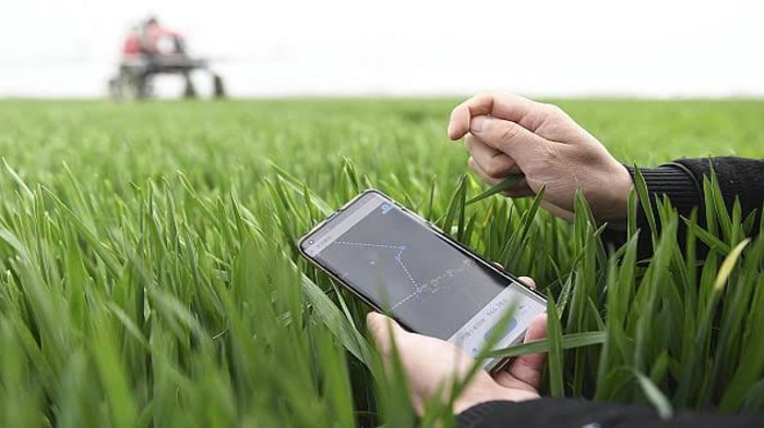 AI Intervention to Drive India’s Agriculture Growth