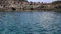 Andaman and Nicobar