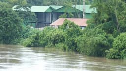 Assam flood