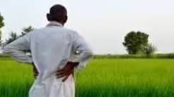 PM-AASHA Strengthens Procurement and Digital Reforms to Boost Farmers’ Incomes 