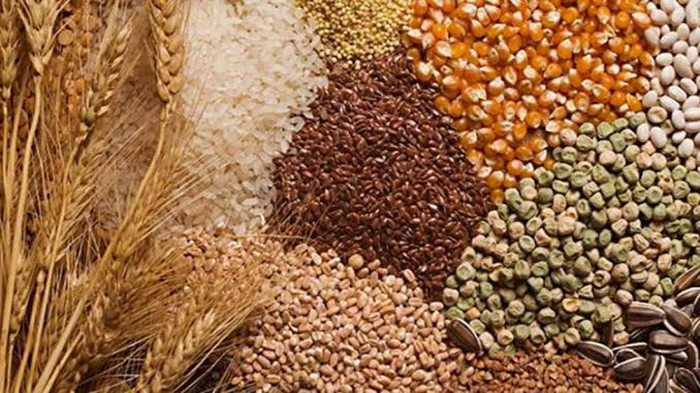 Foodgrain Production Projected at 376.5 Million Tonnes as India Strengthens Decentralised Storage
