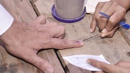 voting