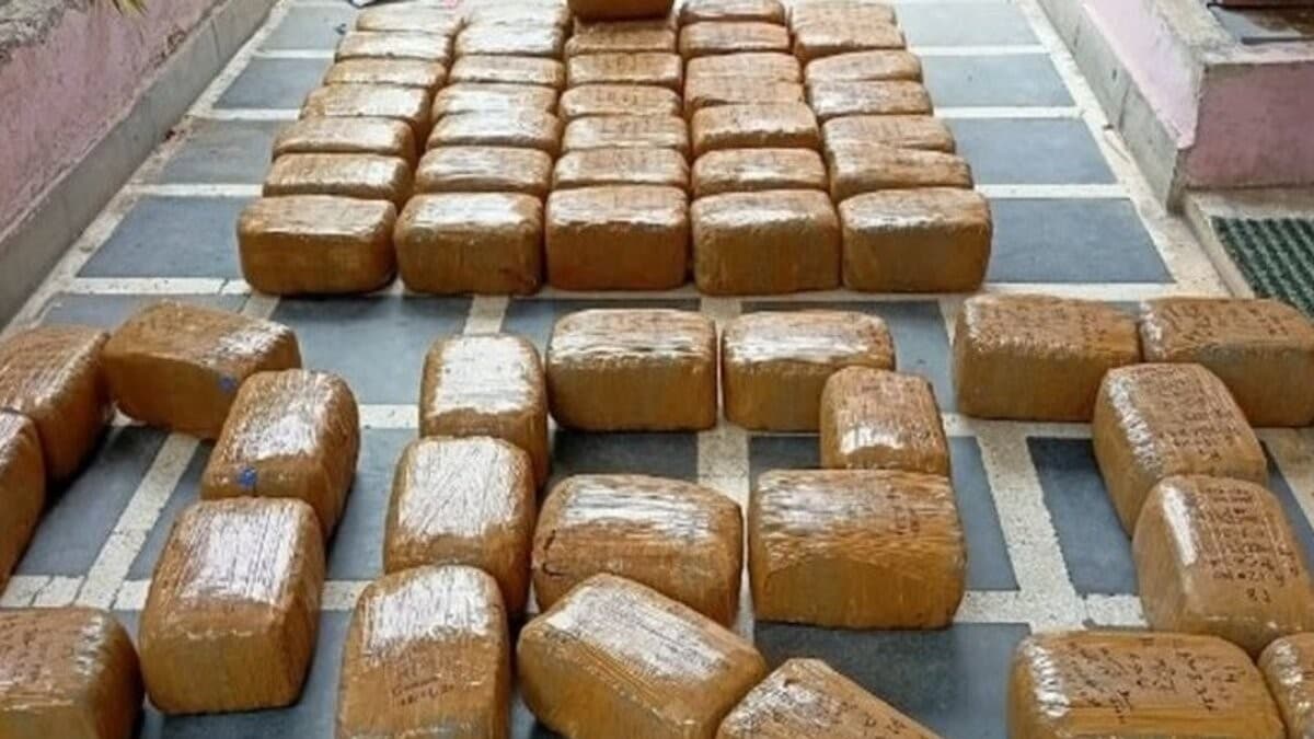 DRI busts multiple drug trafficking networks, seizes 740 kg cannabis and charas