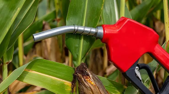 India supplies 895 crore litres of ethanol by August, reaches 85% of target 
