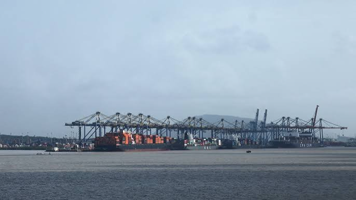 India-New Zealand Economic Partnership Deepens With FTA Approval 