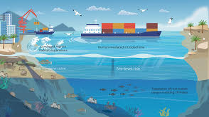  Rising Sea Levels Emerge as Growing Global Threat Amid Climate Change